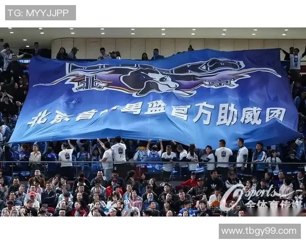 杭州排球队灵活性变革引发热议助力竞技水平提升与战术创新